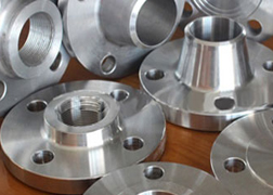Alloy 20 Flanges