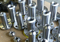 Alloy 20 NipoFlange