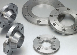 Hastelloy C22 / C276 Flanges