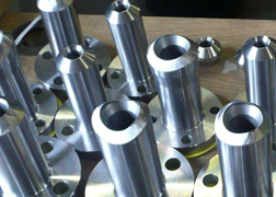 Hastelloy C22 / C276 NipoFlange