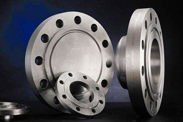 hastelloy flange
