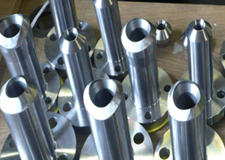 Stainless Steel 15-5PH NipoFlange
