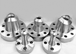 Stainless Steel 304 / 304L /304H Flanges